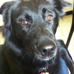 Meet your Posher, Carmela